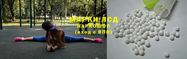 ГАЛЛЮЦИНОГЕННЫЕ ГРИБЫ Баксан