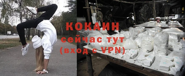 ГАЛЛЮЦИНОГЕННЫЕ ГРИБЫ Баксан