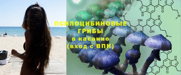 ГАЛЛЮЦИНОГЕННЫЕ ГРИБЫ Баксан