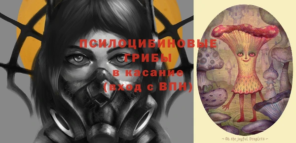 ГАЛЛЮЦИНОГЕННЫЕ ГРИБЫ Баксан